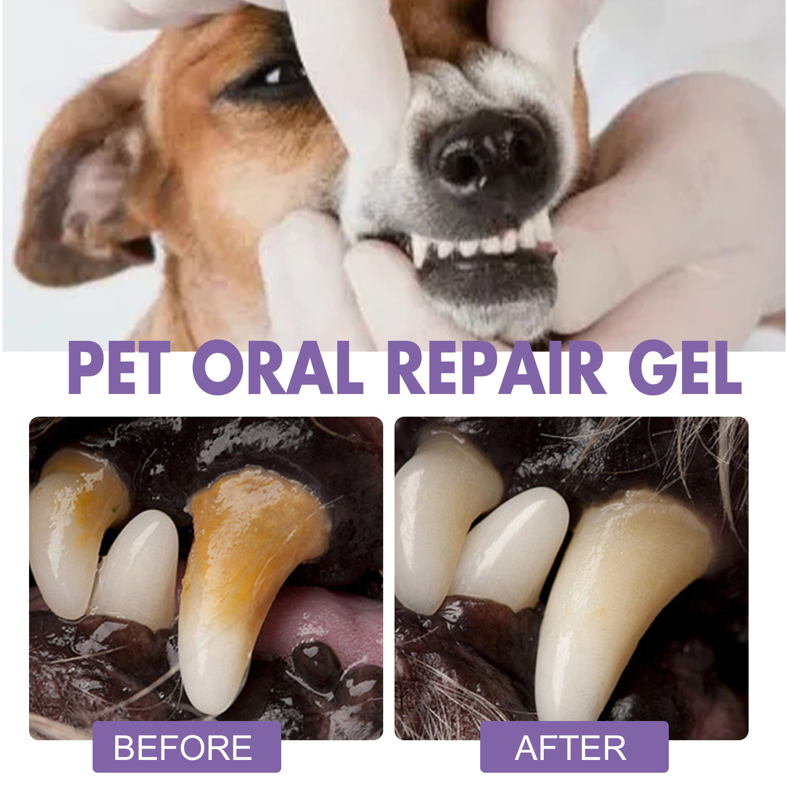 สัตว์เลี้ยง Oral Repair GEL Pu - Teeth Whitening From Home บทวิจารณ์และราคา